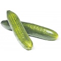 bio-gurke
