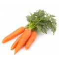 carottes-ab505fc59f